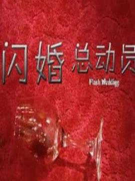 閃婚總動員